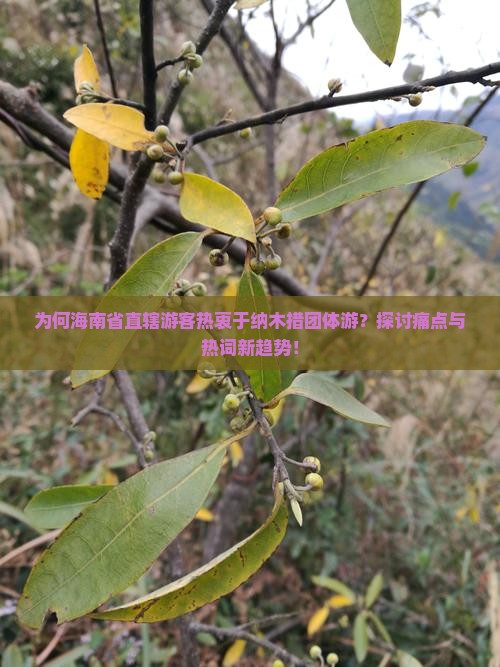 为何海南省直辖游客热衷于纳木措团体游？探讨痛点与热词新趋势！