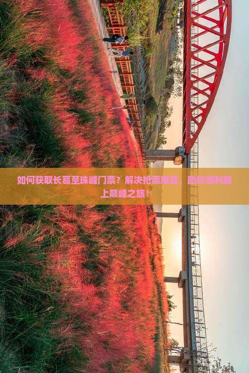 如何获取长葛至珠峰门票？解决抢票难题，助您顺利踏上巅峰之旅！