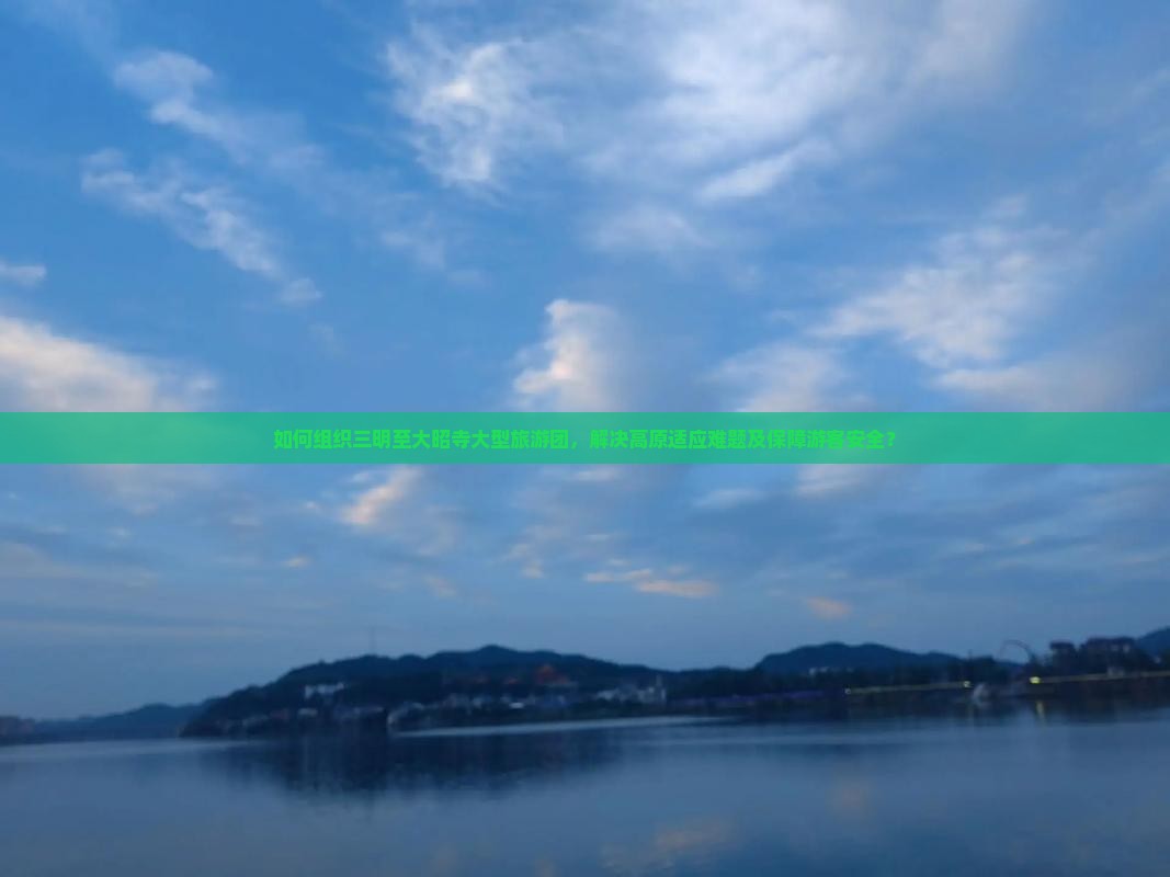 如何组织三明至大昭寺大型旅游团，解决高原适应难题及保障游客安全？