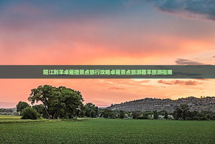 阳江到羊卓雍措景点旅行攻略卓雍景点旅游藏羊旅游指南