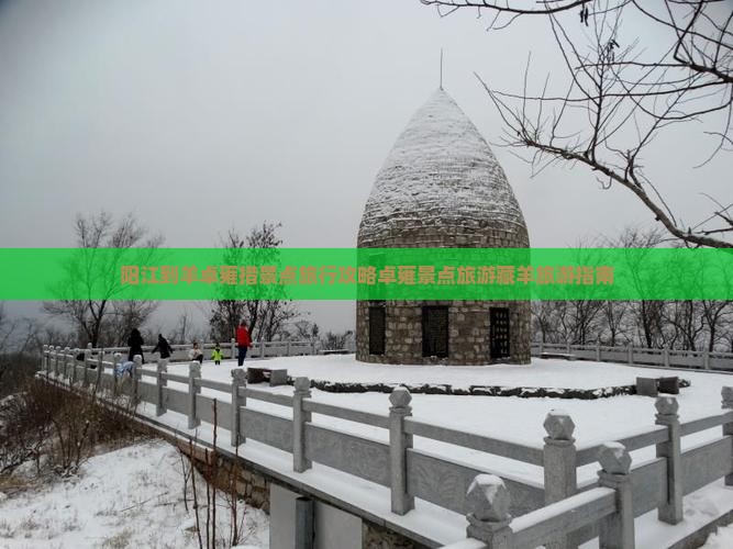 阳江到羊卓雍措景点旅行攻略卓雍景点旅游藏羊旅游指南