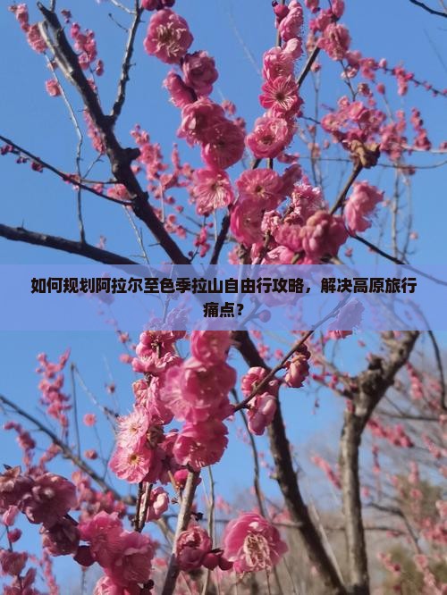如何规划阿拉尔至色季拉山自由行攻略，解决高原旅行痛点？