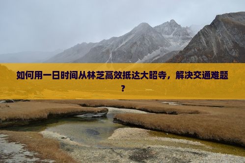 如何用一日时间从林芝高效抵达大昭寺，解决交通难题？