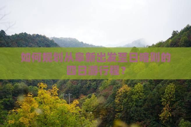 如何规划从阜新出发至日喀则的四日游行程？