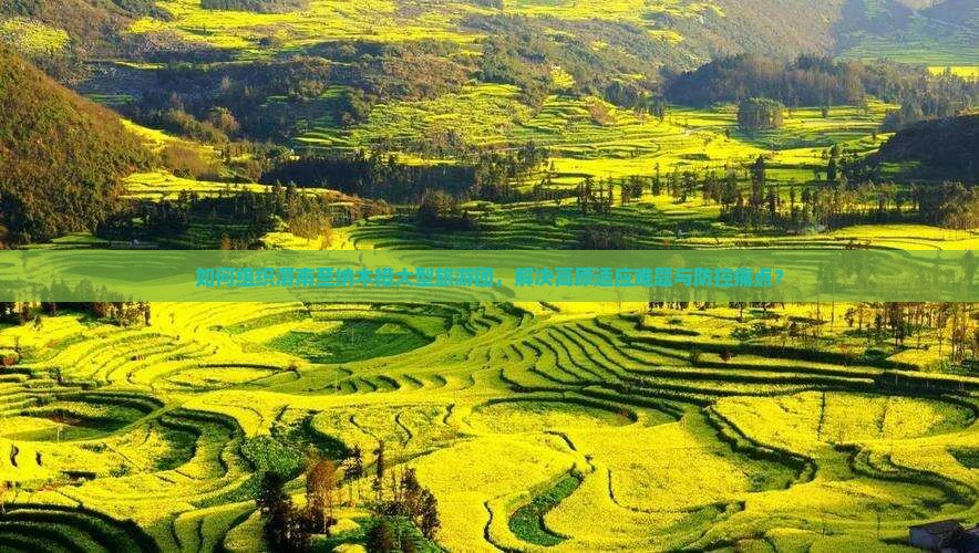 如何组织渭南至纳木措大型旅游团，解决高原适应难题与防控痛点？