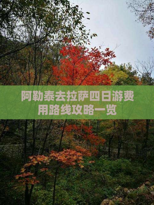 阿勒泰去拉萨四日游费用路线攻略一览
