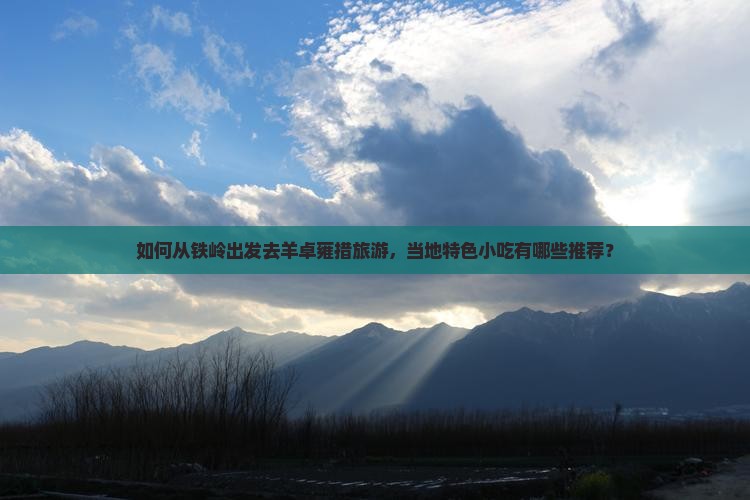 如何从铁岭出发去羊卓雍措旅游，当地特色小吃有哪些推荐？