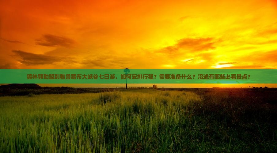 锡林郭勒盟到雅鲁藏布大峡谷七日游，如何安排行程？需要准备什么？沿途有哪些必看景点？