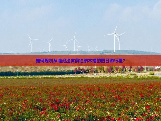 如何规划从临沧出发前往纳木措的四日游行程？