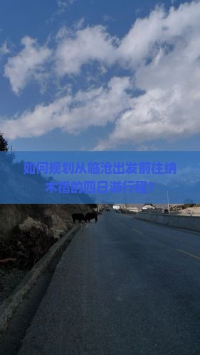 如何规划从临沧出发前往纳木措的四日游行程？