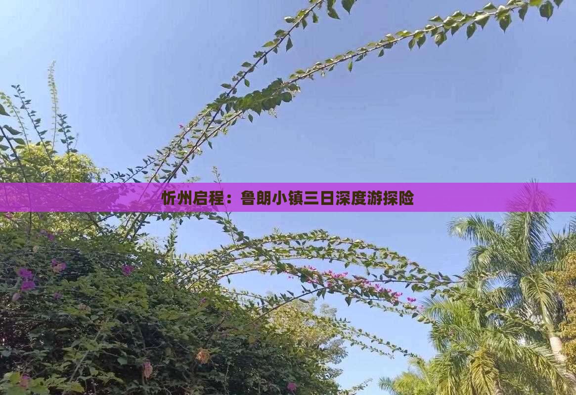 忻州启程：鲁朗小镇三日深度游探险