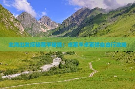 北海出发探秘藏羊秘境：卓雍羊卓雍措自由行攻略