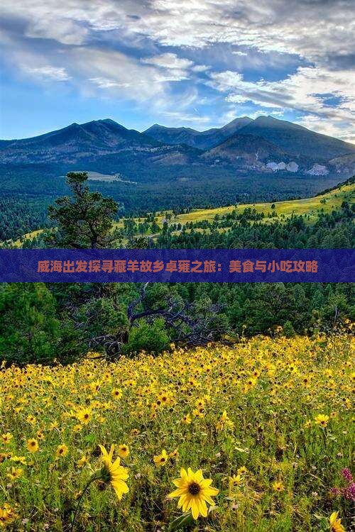 威海出发探寻藏羊故乡卓雍之旅：美食与小吃攻略