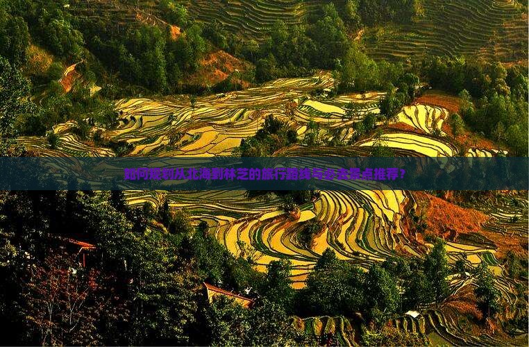 如何规划从北海到林芝的旅行路线与必去景点推荐？