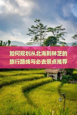如何规划从北海到林芝的旅行路线与必去景点推荐？