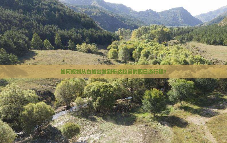 如何规划从白城出发到布达拉宫的四日游行程？