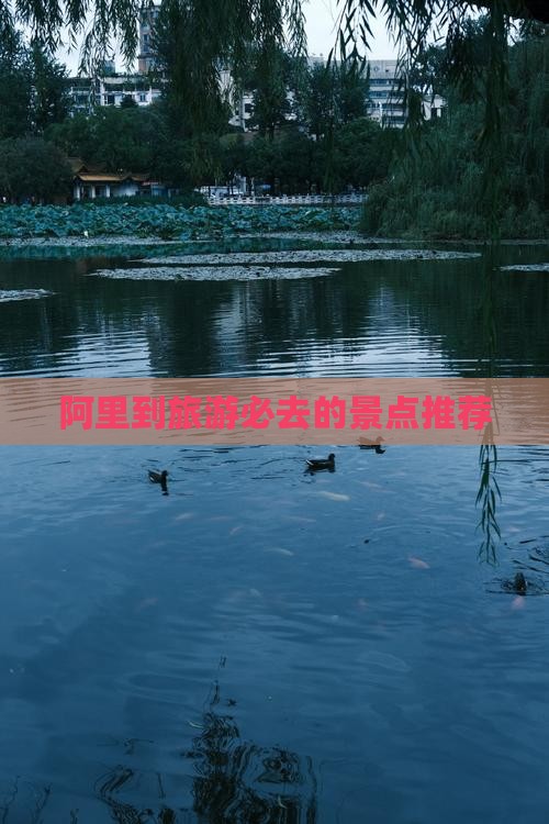 阿里到旅游必去的景点推荐