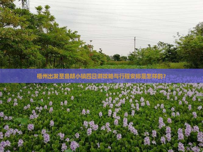 梧州出发至鲁朗小镇四日游攻略与行程安排是怎样的？