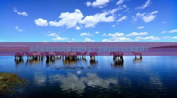 去巴松措旅游需要注意什么？吉林的旅行社哪家好？