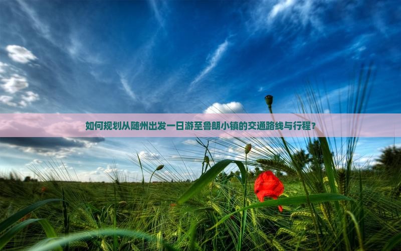 如何规划从随州出发一日游至鲁朗小镇的交通路线与行程？