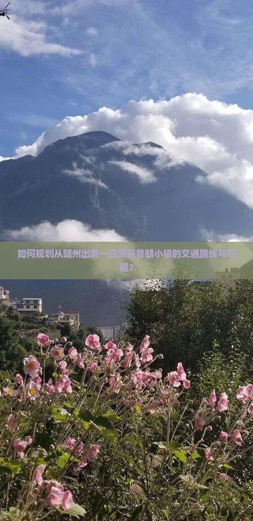如何规划从随州出发一日游至鲁朗小镇的交通路线与行程？