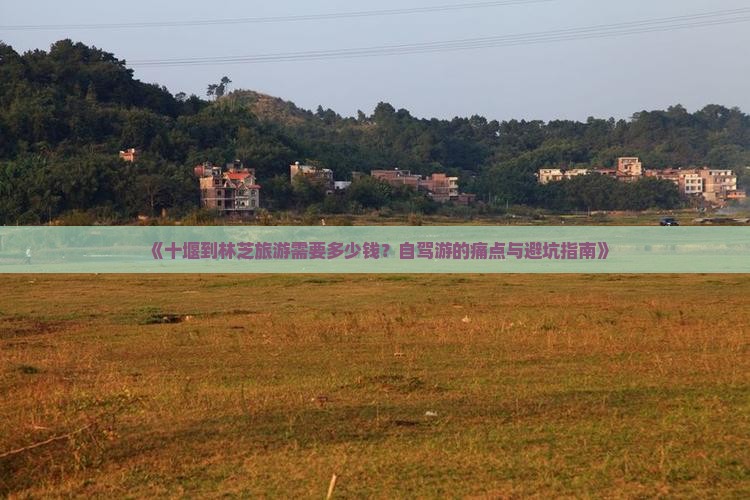 《十堰到林芝旅游需要多少钱？自驾游的痛点与避坑指南》