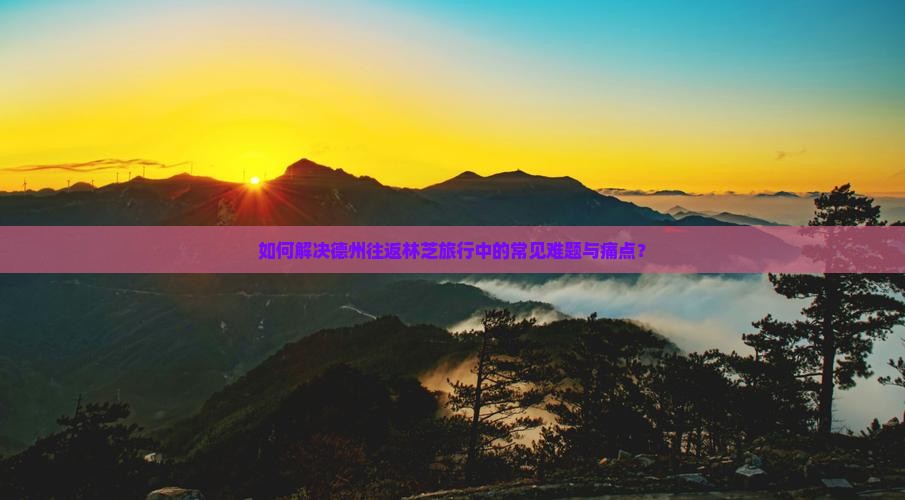 如何解决德州往返林芝旅行中的常见难题与痛点？