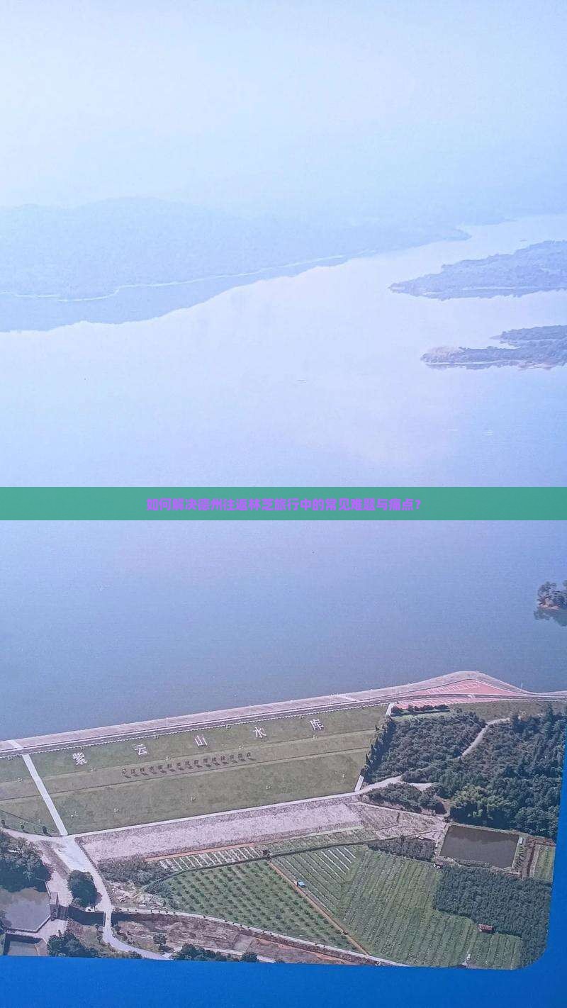 如何解决德州往返林芝旅行中的常见难题与痛点？