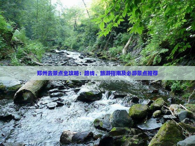 郑州去景点全攻略：路线、旅游指南及必游景点推荐