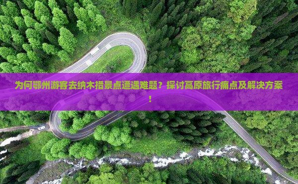 为何鄂州游客去纳木措景点遭遇难题？探讨高原旅行痛点及解决方案！