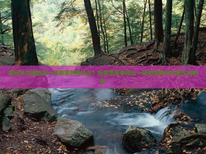 如何从白城出发一日游至色季拉山？白城至色季拉山一日游攻略与交通方式解析