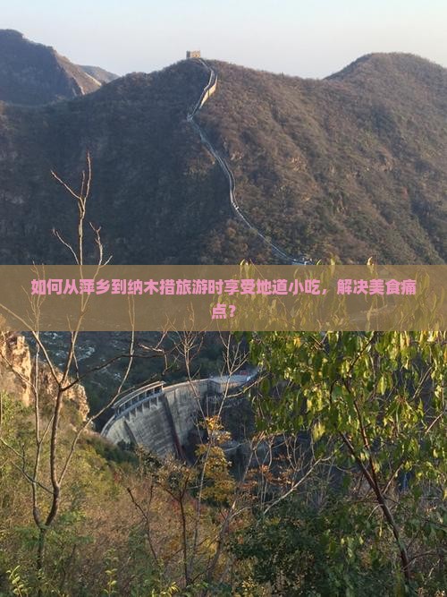 如何从萍乡到纳木措旅游时享受地道小吃，解决美食痛点？