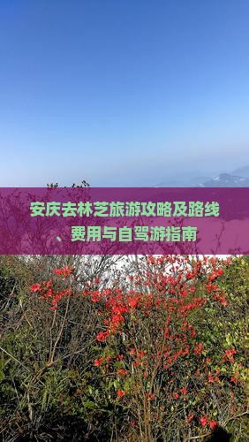 安庆去林芝旅游攻略及路线、费用与自驾游指南