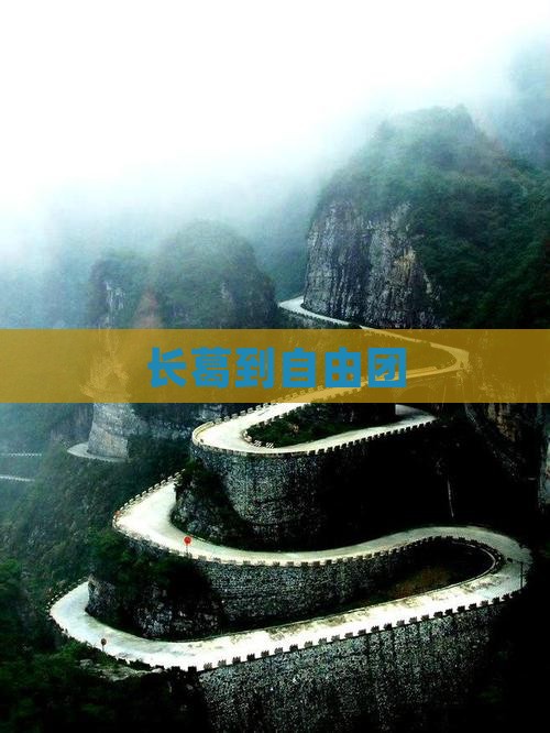 长葛到自由团