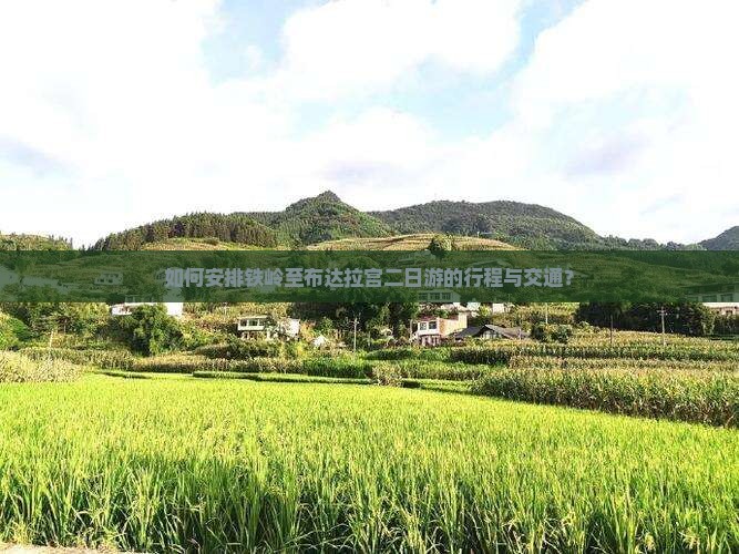 如何安排铁岭至布达拉宫二日游的行程与交通？