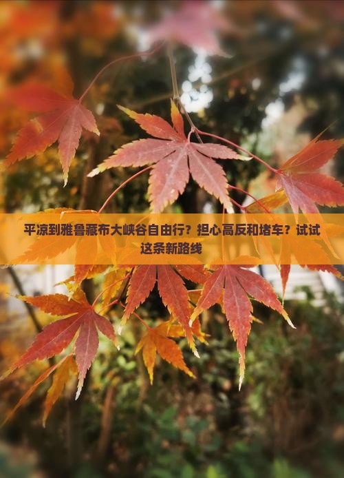 平凉到雅鲁藏布大峡谷自由行？担心高反和堵车？试试这条新路线