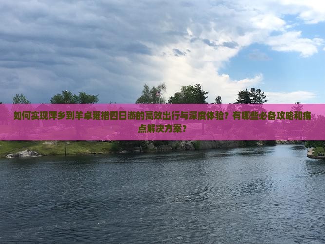 如何实现萍乡到羊卓雍措四日游的高效出行与深度体验？有哪些必备攻略和痛点解决方案？
