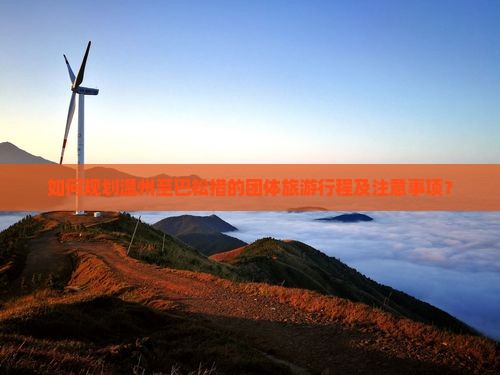 如何规划温州至巴松措的团体旅游行程及注意事项？