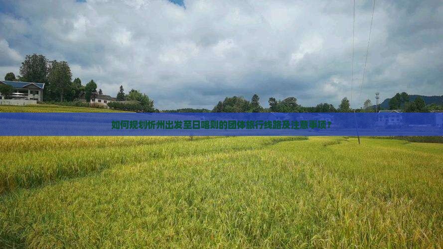 如何规划忻州出发至日喀则的团体旅行线路及注意事项？