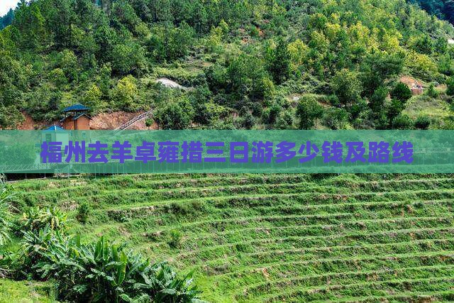 福州去羊卓雍措三日游多少钱及路线