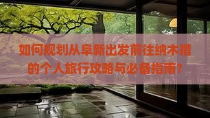 如何规划从阜新出发前往纳木措的个人旅行攻略与必备指南？