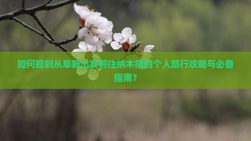 如何规划从阜新出发前往纳木措的个人旅行攻略与必备指南？