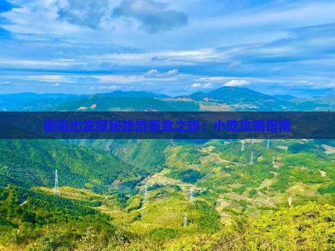 衡阳出发探秘旅游美食之旅：小吃攻略指南