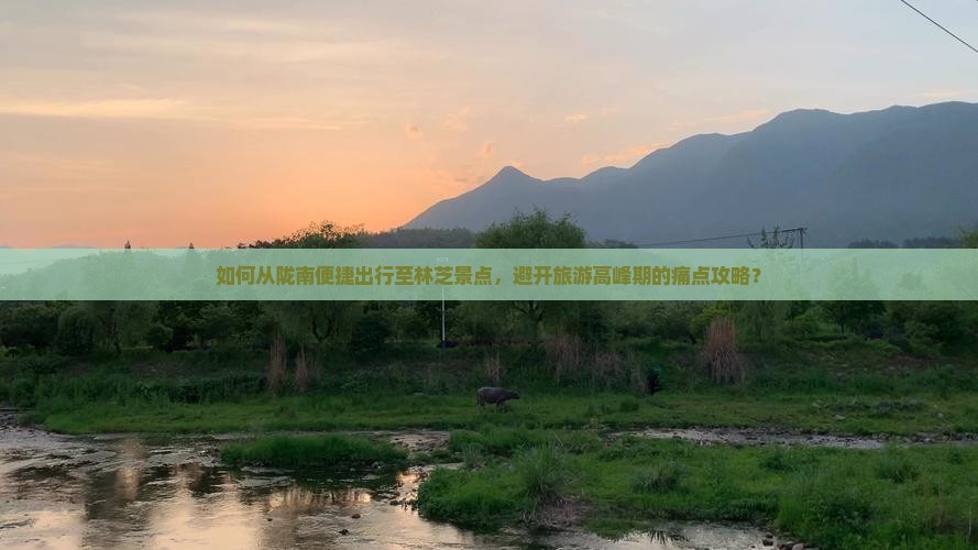 如何从陇南便捷出行至林芝景点，避开旅游高峰期的痛点攻略？