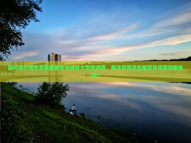 如何组织南京至雅鲁藏布大峡谷大型旅游团，解决高原适应难题及保障游客体验？