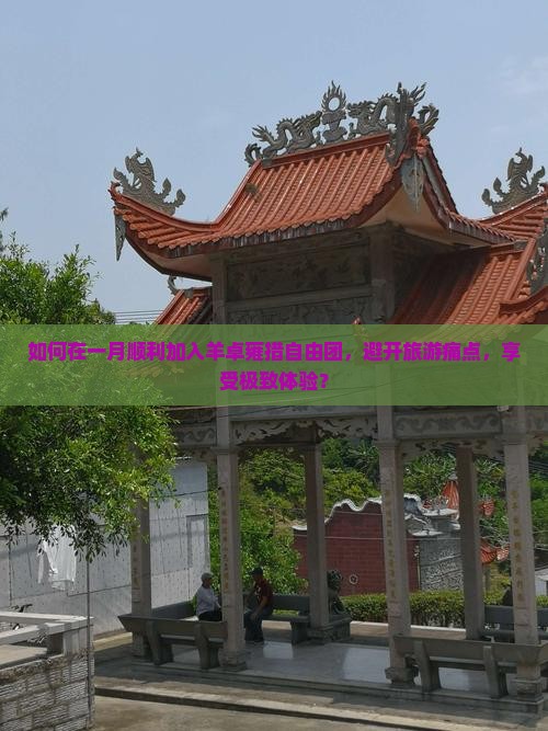如何在一月顺利加入羊卓雍措自由团，避开旅游痛点，享受极致体验？