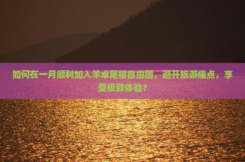 如何在一月顺利加入羊卓雍措自由团，避开旅游痛点，享受极致体验？