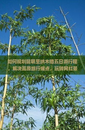 如何规划昆明至纳木措五日游行程，解决高原旅行痛点，玩转网红景点？