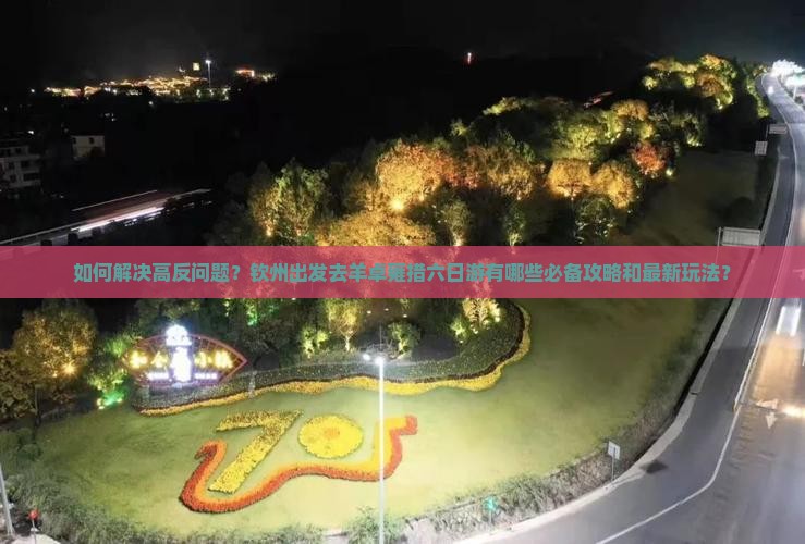如何解决高反问题？钦州出发去羊卓雍措六日游有哪些必备攻略和最新玩法？