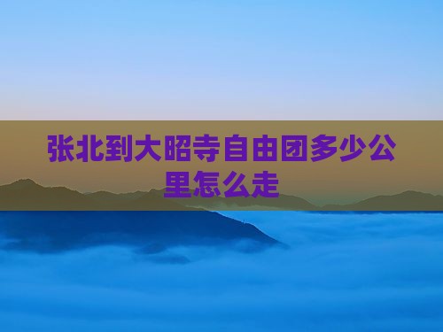 张北到大昭寺自由团多少公里怎么走